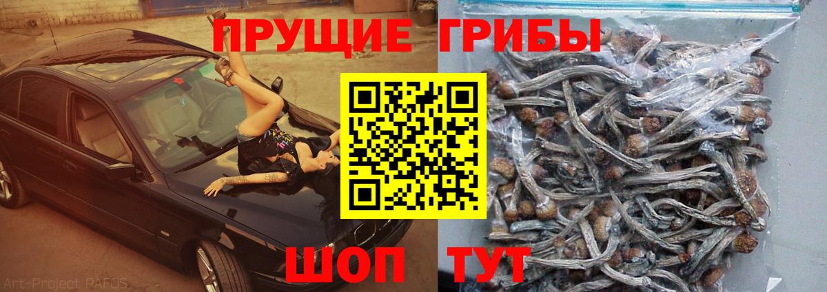 Псилоцибиновые грибы MAGIC MUSHROOMS Рыбинск