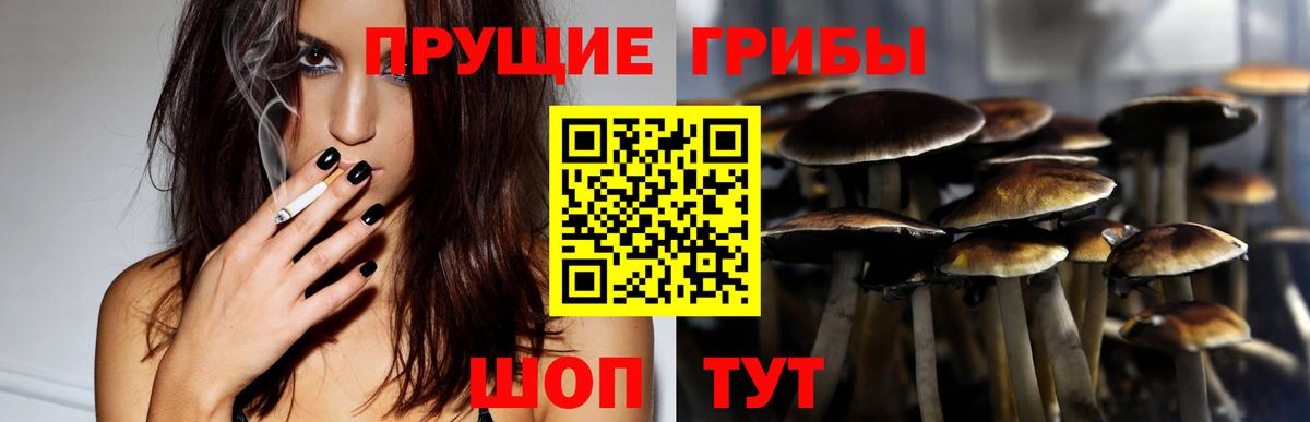 Галлюциногенные грибы MAGIC MUSHROOMS  Галлюциногенные грибы Cubensis  Вход с VPN  Рыбинск 